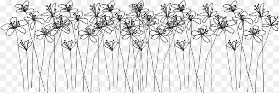 Transparent Black And White Black And White Flowers Drawing, Chandelier, Lamp, Accessories, Art Png Image