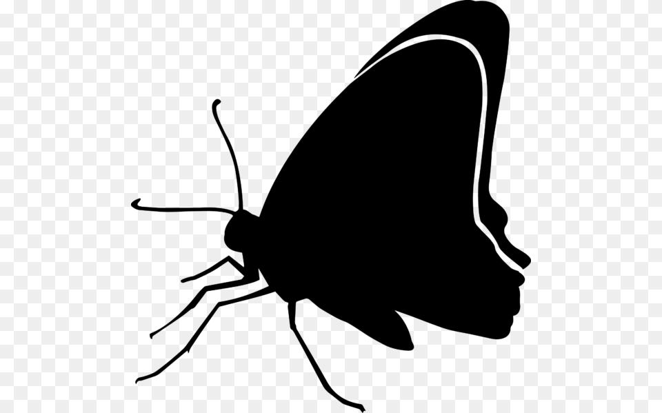Transparent Black And White Butterfly, Gray Free Png