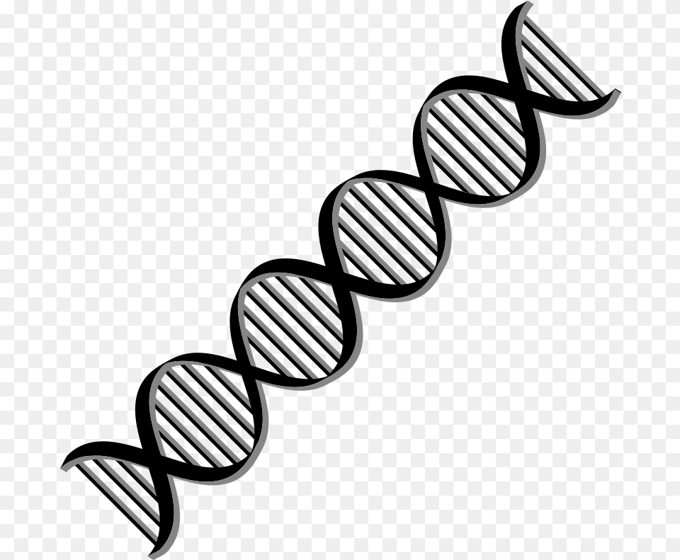 Transparent Black And White Dna Clipart Clipart Dna Double Helix, Spiral Free Png