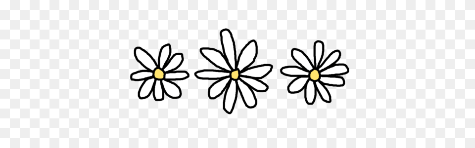 Transparent Black And White Flowers Tumblr New Blog, Daisy, Flower, Plant, Appliance Free Png