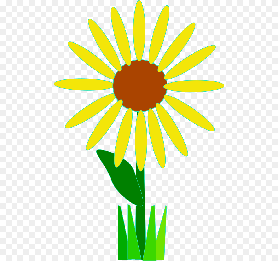 Transparent Black Eyed Susan Flower Clip Art, Daisy, Plant, Petal Png