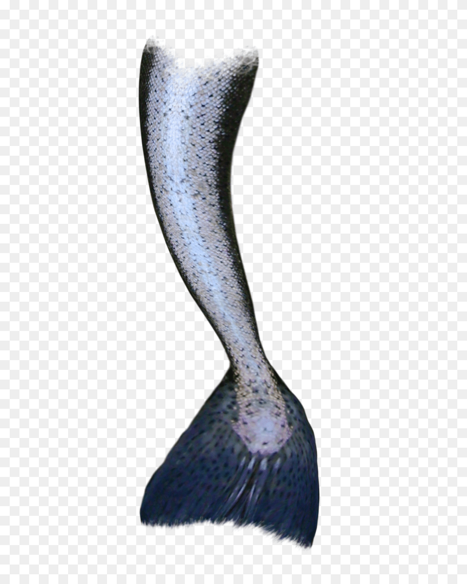 Transparent Black Mermaid Tail Transparent Background Mermaid Tail, Animal, Fish, Sea Life Free Png