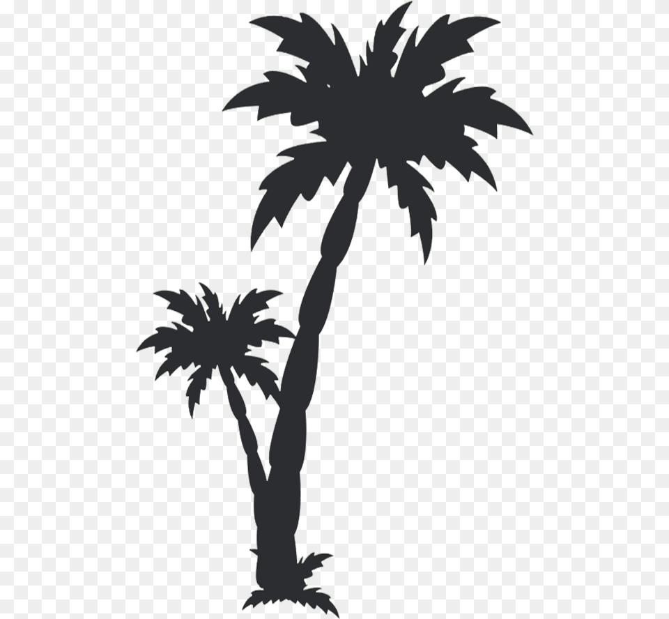 Transparent Black Palm Tree Black Date Tree, Palm Tree, Plant, Person Png Image