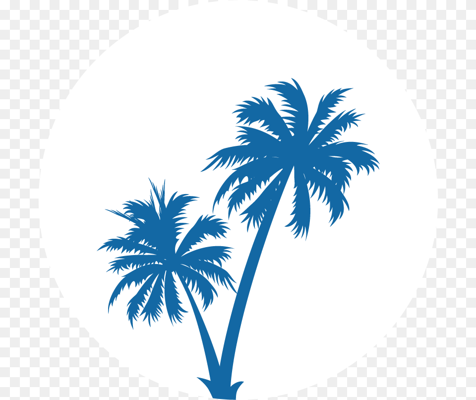 Transparent Black Palm Tree Coconut Tree Vector, Palm Tree, Plant, Summer, Outdoors Free Png Download