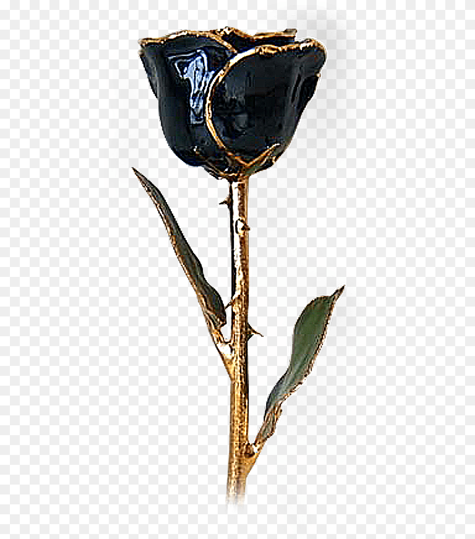 Transparent Black Roses Black And Gold Roses With Stem, Glass, Flower, Plant, Goblet Png