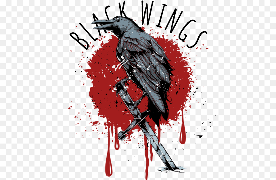 Transparent Black Wings Raven, Animal, Bird, Crow, Beak Free Png