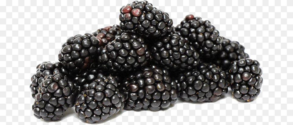 Transparent Blackberries Clipart Blackberries Fruit, Berry, Food, Plant, Produce Png Image
