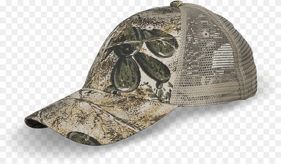 Transparent Blank Hat Baseball Cap, Baseball Cap, Clothing, Animal, Reptile Png