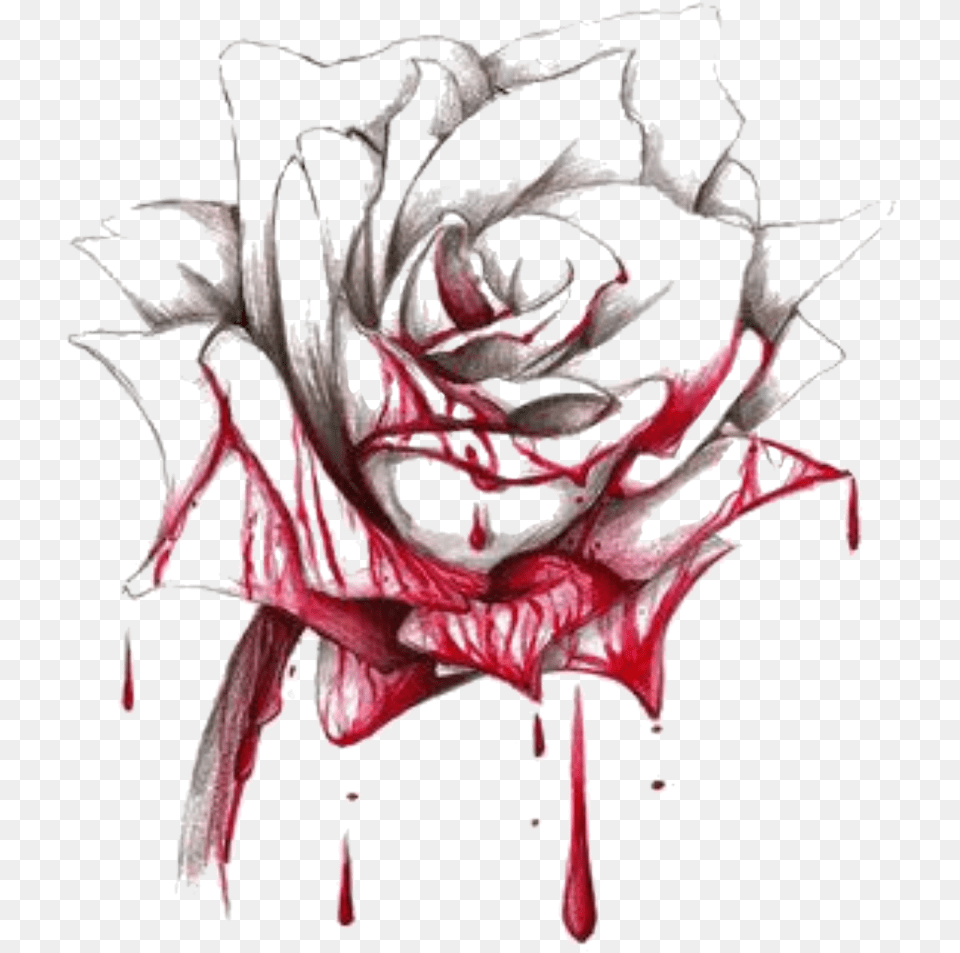 Transparent Bloody Rose Bleeding Rose Drawing, Leaf, Plant, Antler, Person Png Image