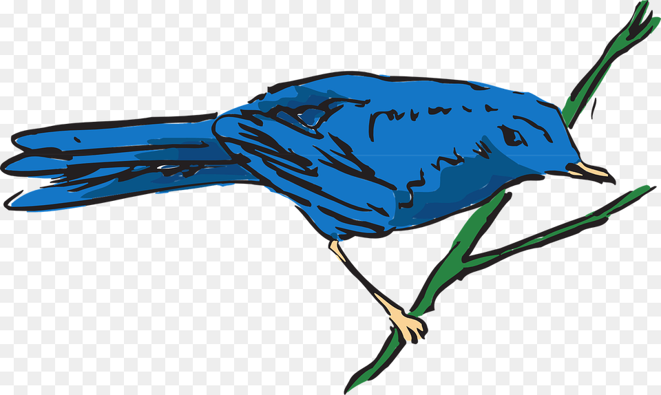 Transparent Blue Birds Clip Art, Animal, Bird, Bluebird, Jay Png Image