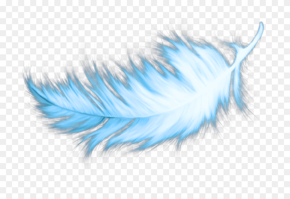Transparent Blue Feather Transparent Teal Blue Feathers, Accessories, Pattern, Ornament, Fractal Free Png