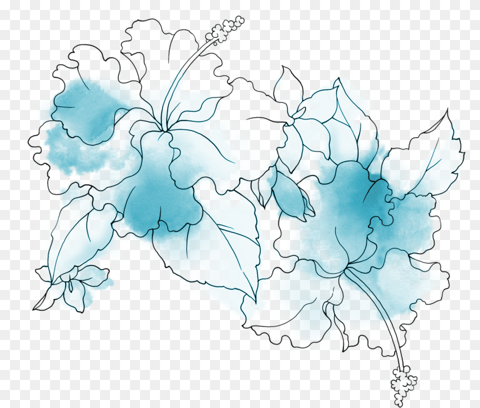 Transparent Blue Flowers, Chart, Map, Plot, Atlas Png Image