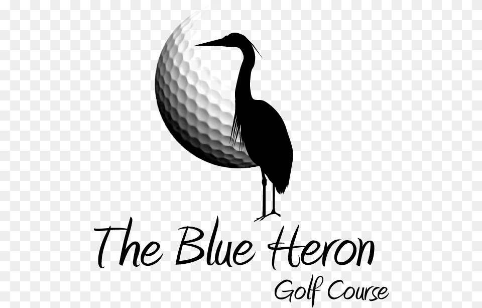 Transparent Blue Heron Blue Heron Golf Course Carnation, Ball, Golf Ball, Sport Png