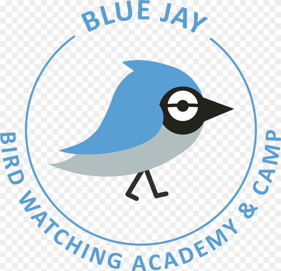 Transparent Blue Jay Feather Clipart Oil Amp Gas Uk, Animal, Bird, Blue Jay, Bluebird Free Png