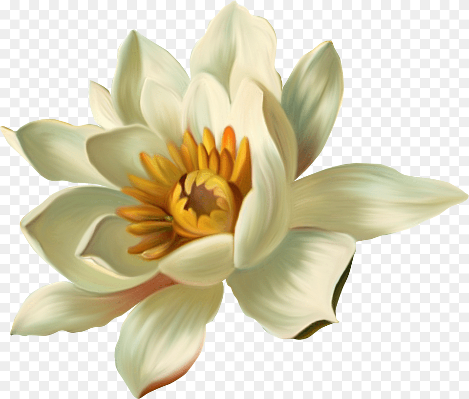 Blue Lotus Clipart, Dahlia, Flower, Lily, Plant Free Transparent Png