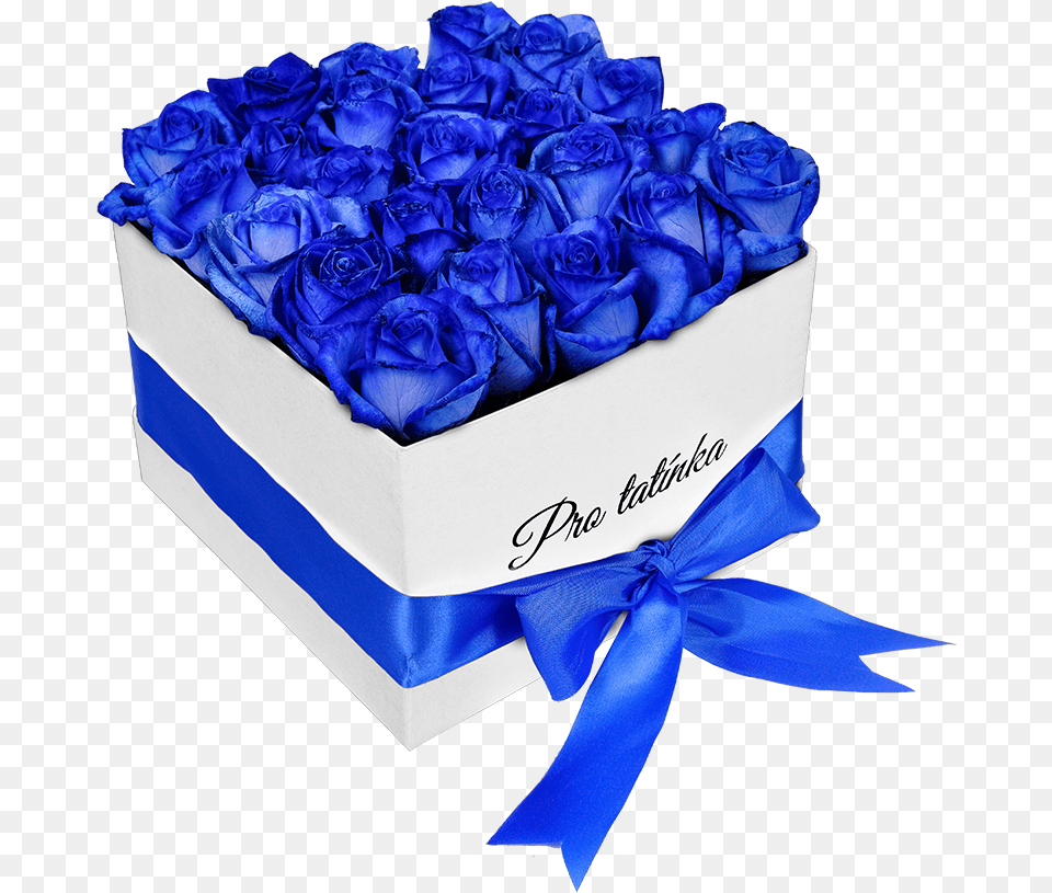 Transparent Blue Roses Blue Roses Box, Flower, Plant, Rose, Formal Wear Free Png Download