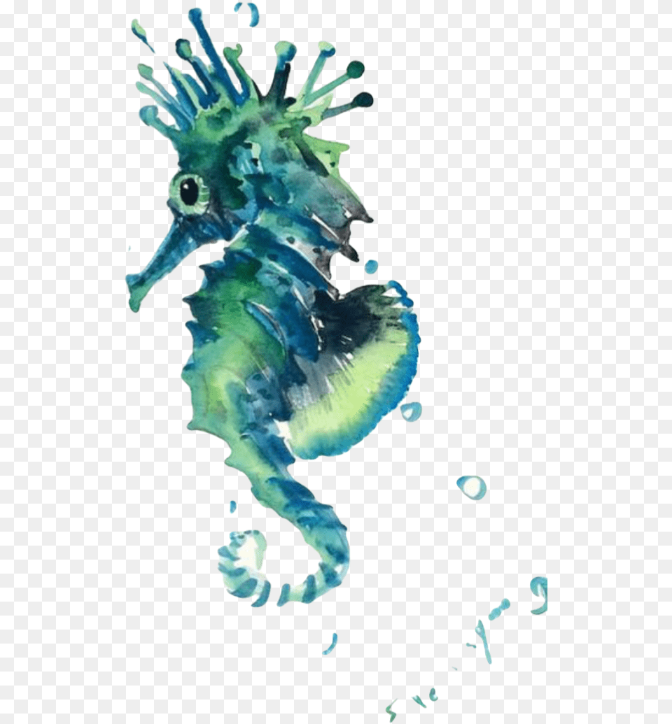 Blue Seahorse Clipart Sea Creature Clipart Watercolor, Animal, Sea Life, Mammal Free Transparent Png