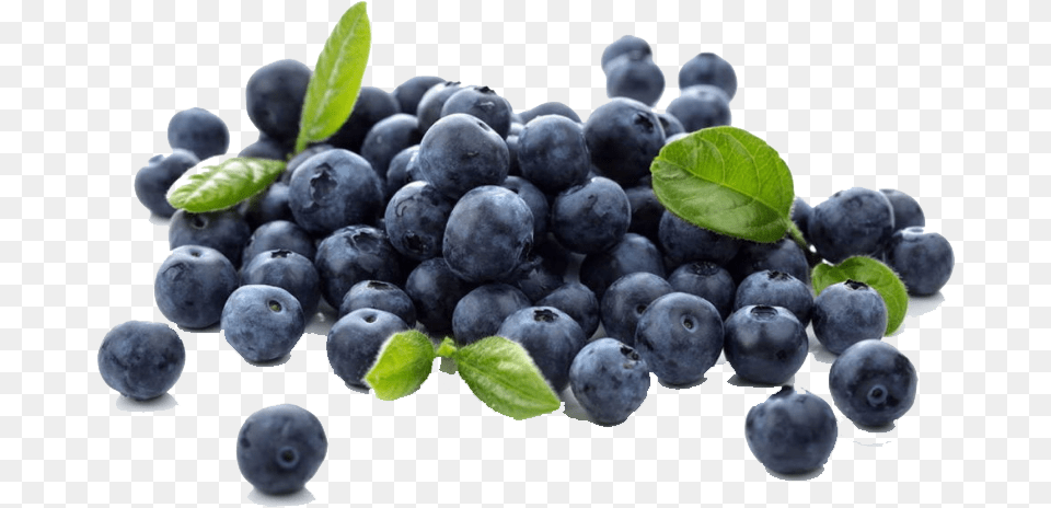 Transparent Blueberry, Berry, Food, Fruit, Plant Free Png