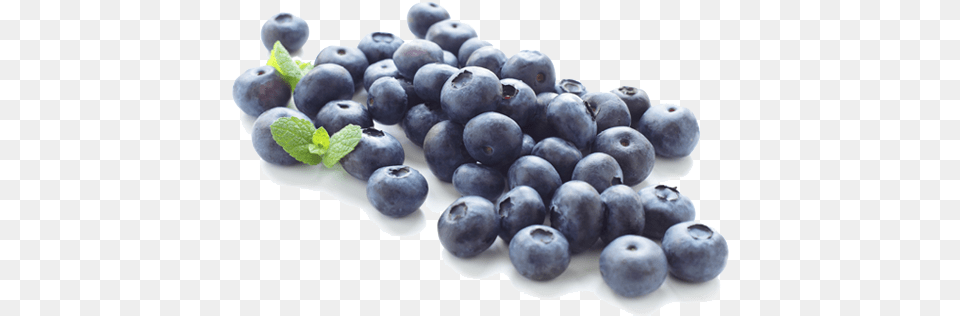 Transparent Blueberry Blueberries Clipart, Berry, Food, Fruit, Plant Free Png