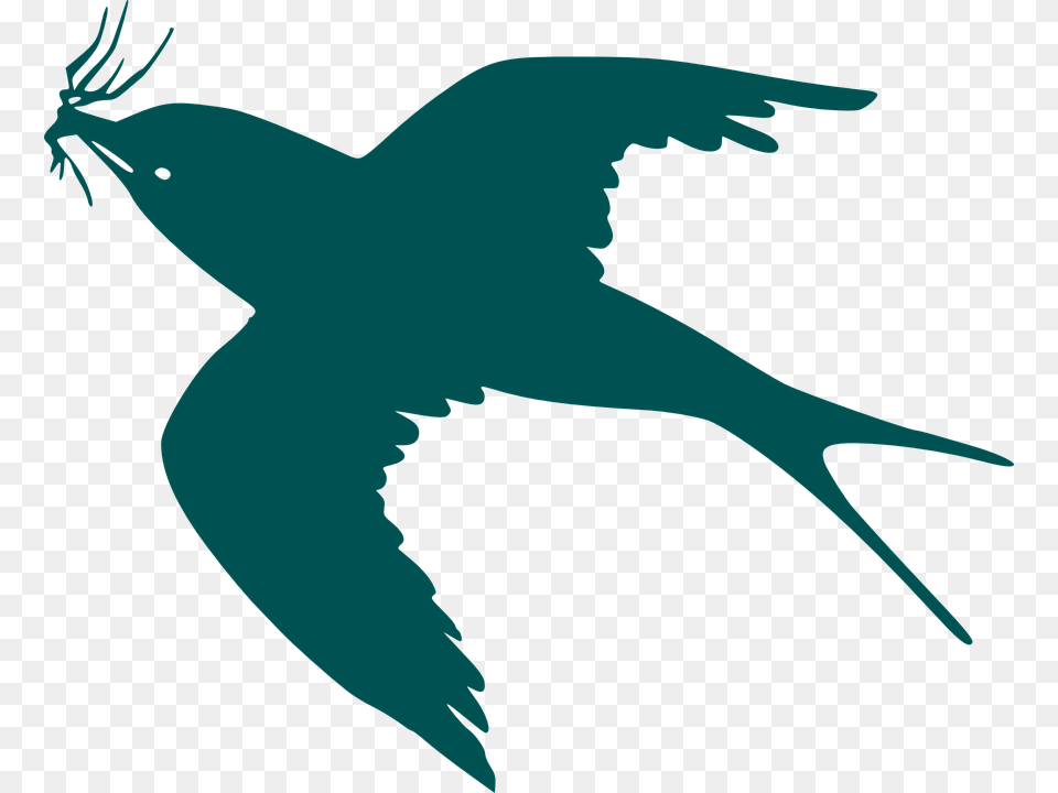 Transparent Bluebird Clipart Cartoon Black Bird Flying, Animal, Fish, Sea Life, Shark Free Png