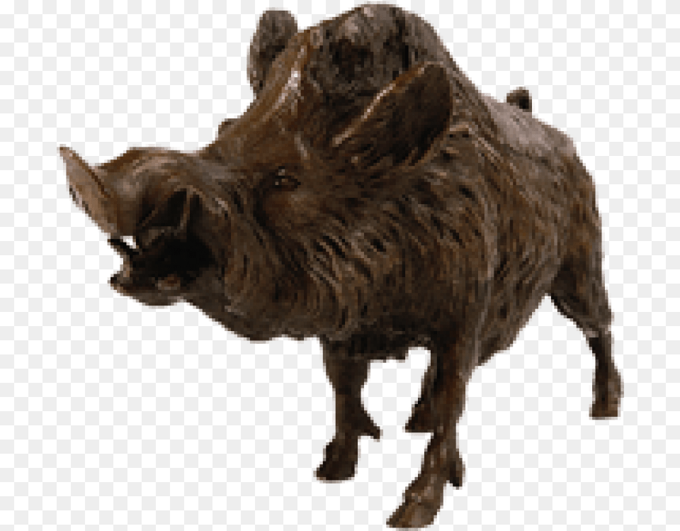 Transparent Boar Bison, Animal, Hog, Mammal, Pig Png