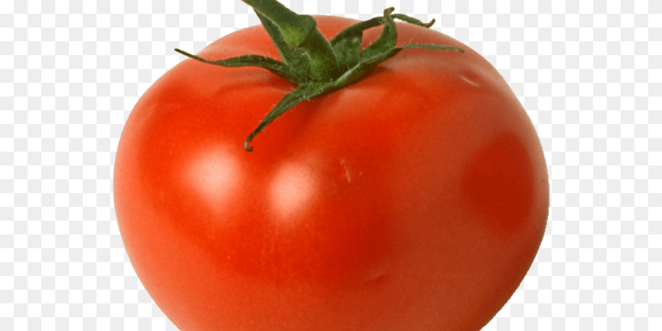 Transparent Bob The Tomato Red Tomato, Food, Plant, Produce, Vegetable Png
