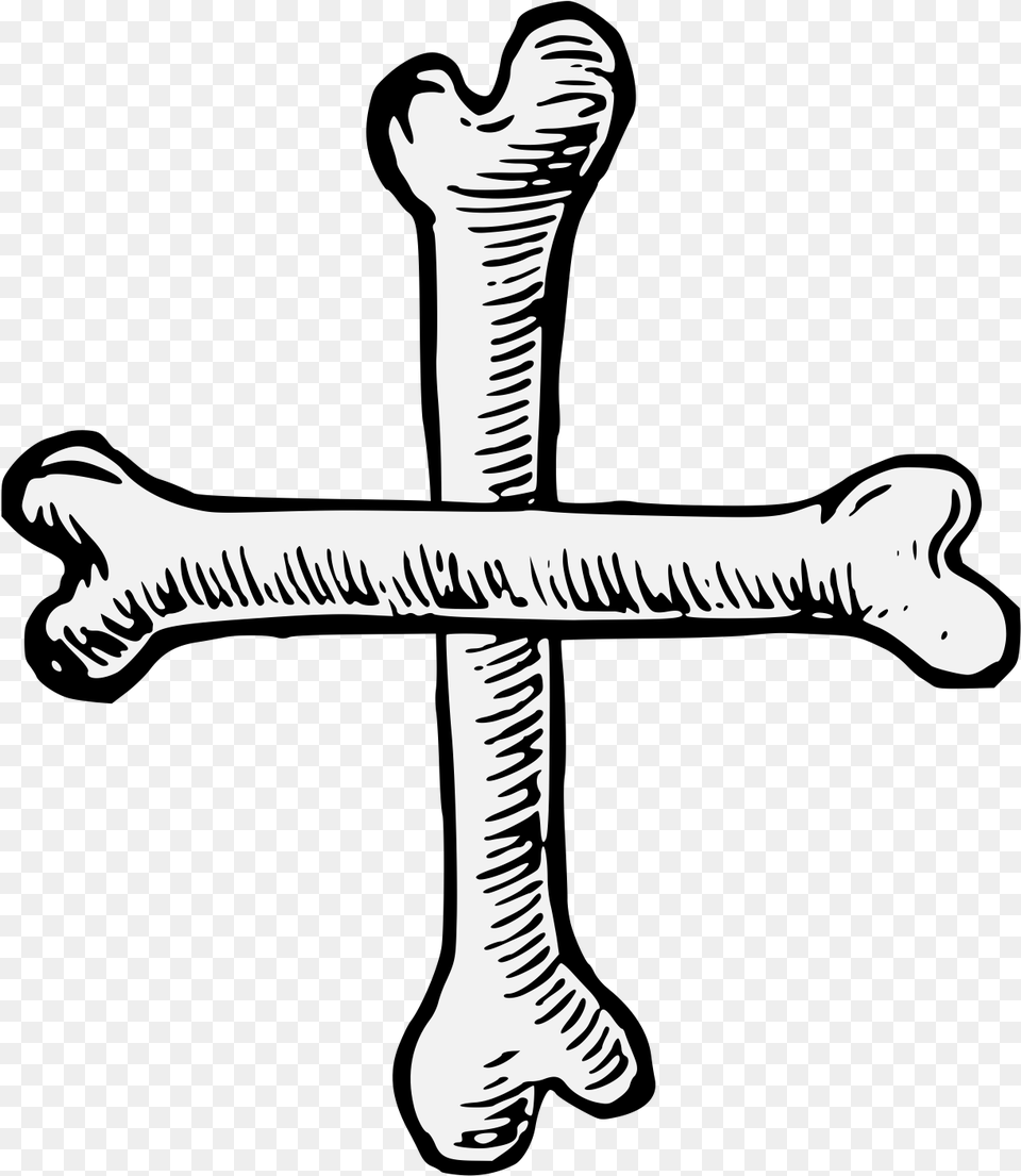 Transparent Bone Cross, Symbol, Animal, Dinosaur, Reptile Png