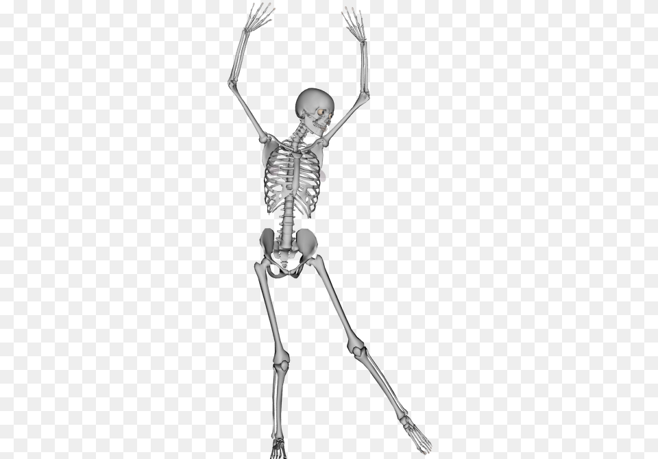Bones Skeleton Dance, Person Free Transparent Png