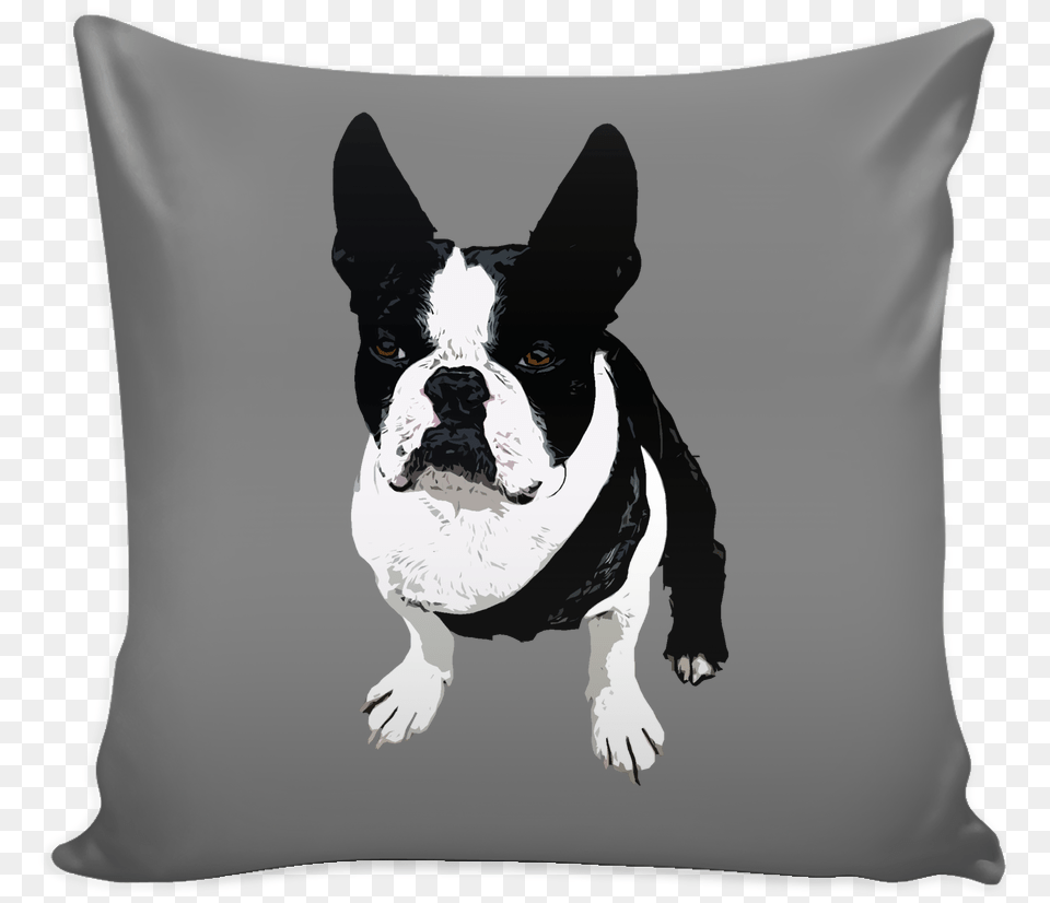 Transparent Boston Terrier Boston Terrier, Cushion, Home Decor, Animal, Bulldog Free Png Download