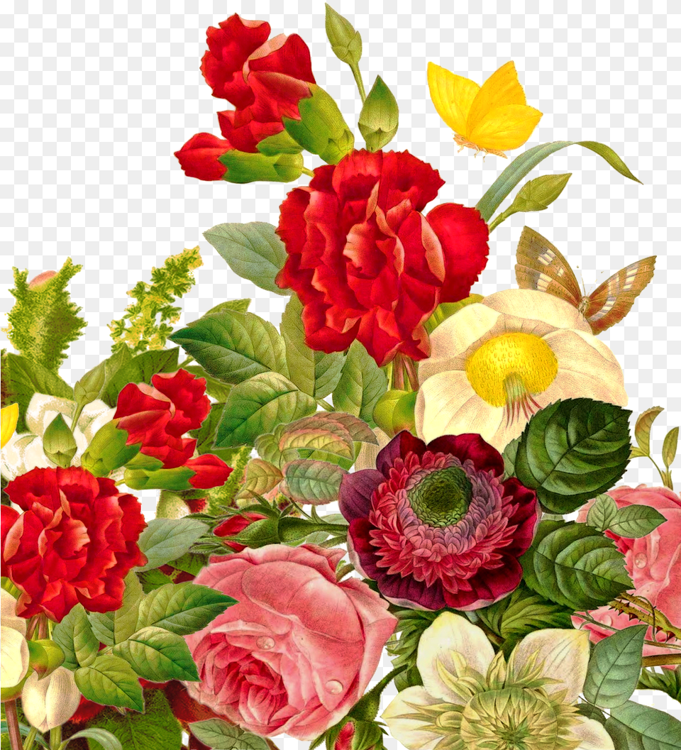 Bouquet Of Roses Butterfly Flower Images Rose, Plant, Flower Bouquet, Flower Arrangement, Floral Design Free Transparent Png