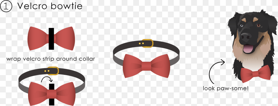 Transparent Bowtie Buckle, Accessories, Formal Wear, Tie, Bow Tie Png Image