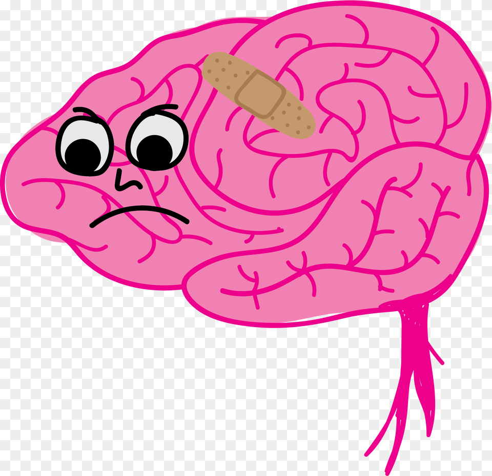 Brain, Baby, Person Free Transparent Png