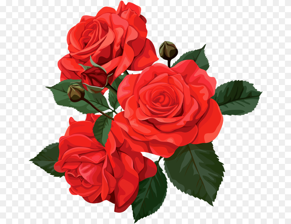 Transparent Bridal Shower Flower Clipart Roses, Plant, Rose Free Png Download