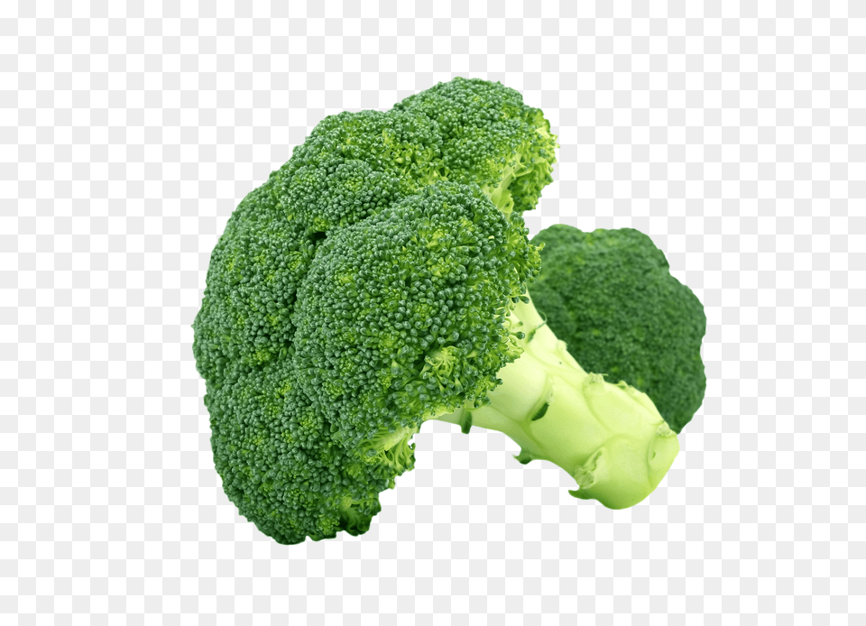 Transparent Broccoli Hd Broccoli Png Image