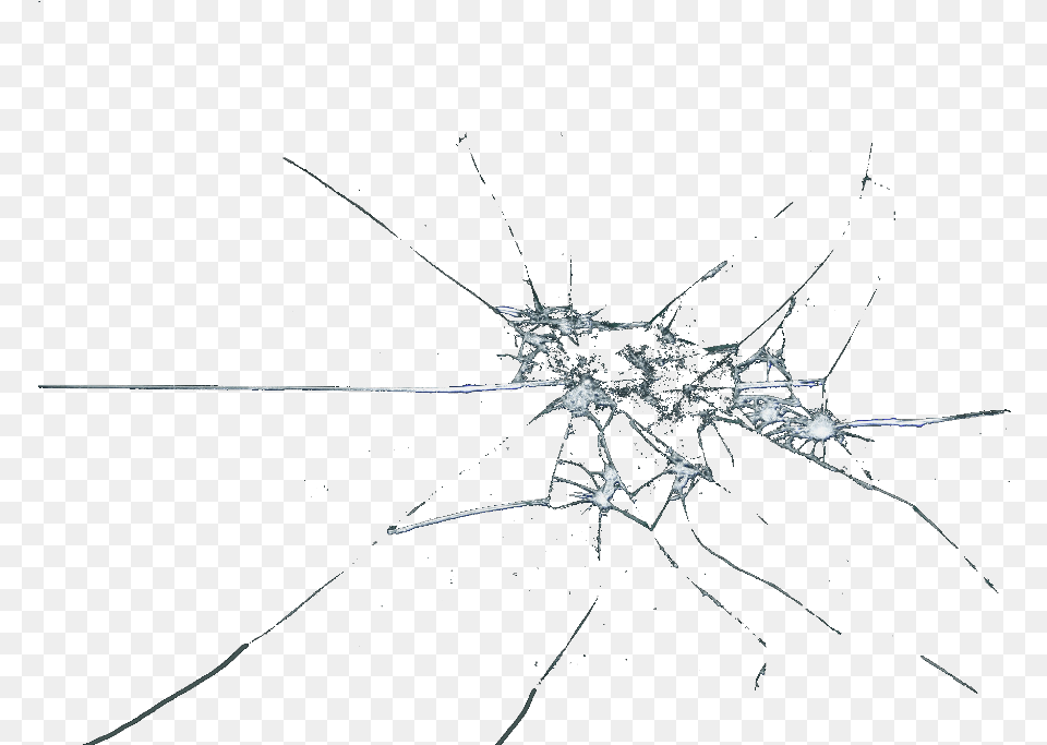 Transparent Broken Glass, Animal, Invertebrate, Spider Png Image