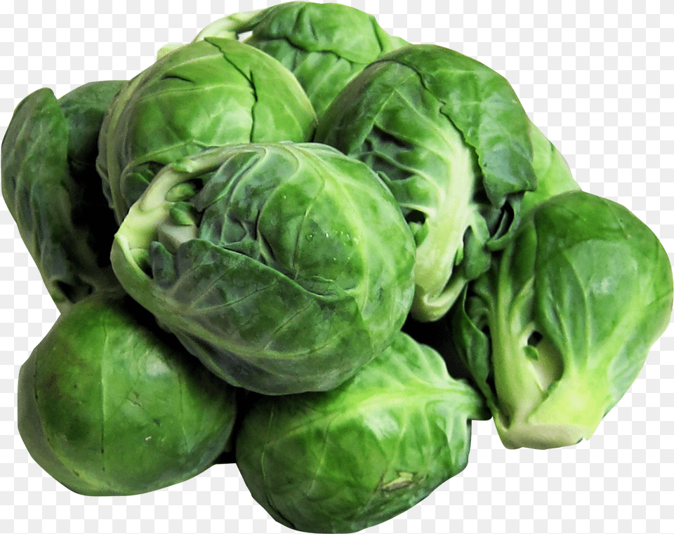 Transparent Brussel Sprout, Food, Plant, Produce, Brussel Sprouts Free Png Download