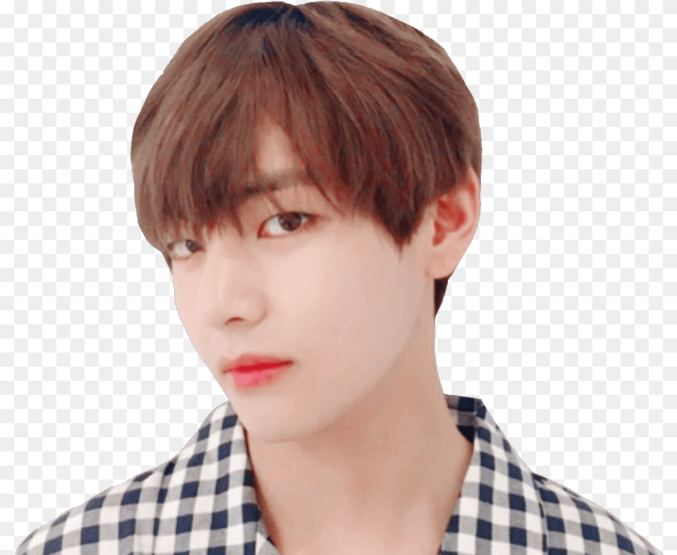 Transparent Bts Tumblr Taehyung Aesthetic Polaroid Transparent, Teen, Portrait, Photography, Person Free Png Download