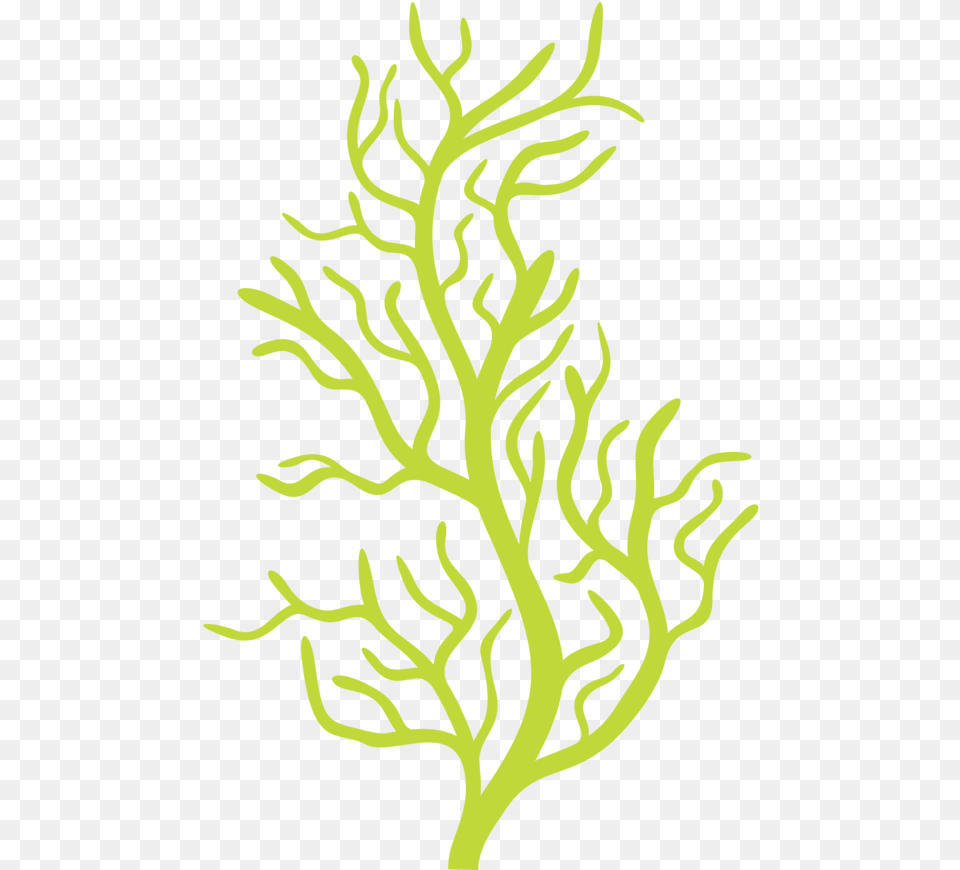 Bubble Guppy Clipart Bubble Guppies Seaweed, Plant Free Transparent Png