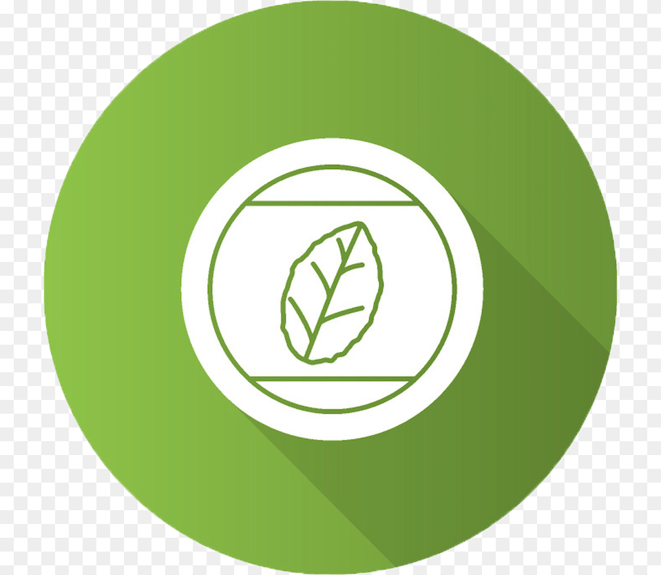 Bucket Icon, Green, Herbal, Herbs, Leaf Free Transparent Png