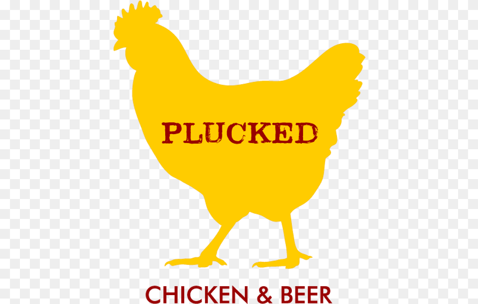 Transparent Bucket Of Chicken Plucked Chicken, Animal, Bird, Fowl, Hen Png