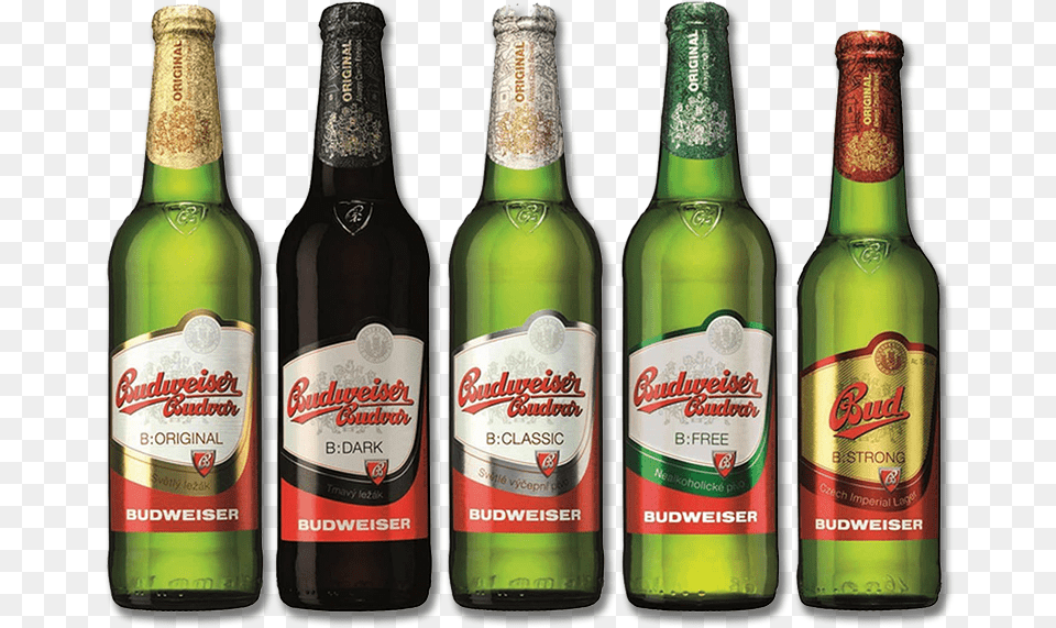 Budweiser Beer Bottle Budweiser Czech Vs American, Alcohol, Beer Bottle, Beverage, Lager Free Transparent Png