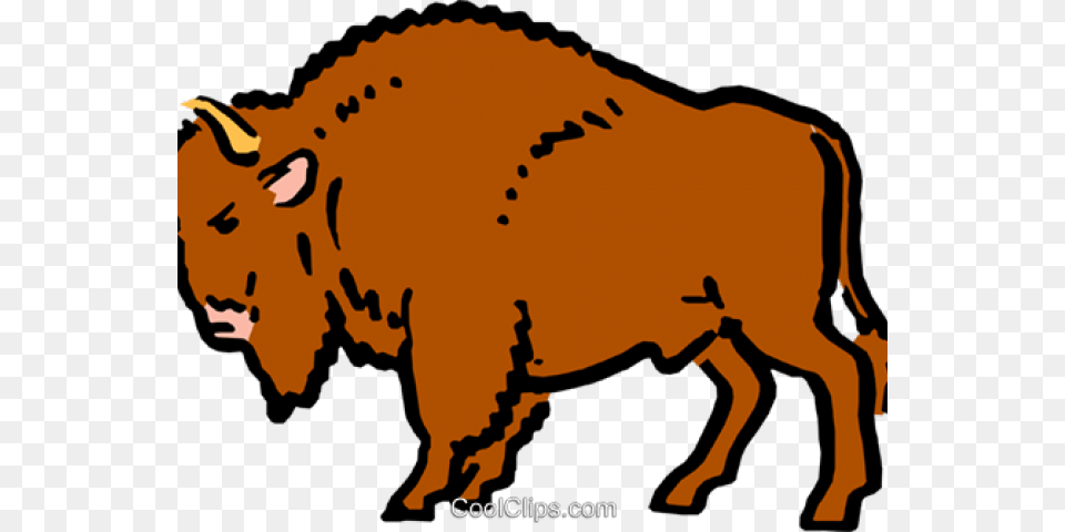 Transparent Buffalo Clipart Buffalo Clipart, Animal, Bison, Mammal, Wildlife Png
