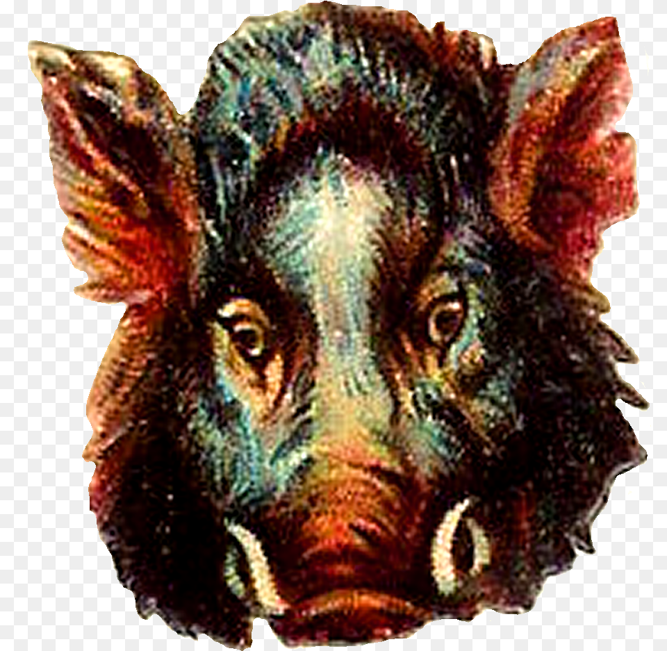 Transparent Buffalo Portable Network Graphics, Animal, Boar, Hog, Mammal Free Png