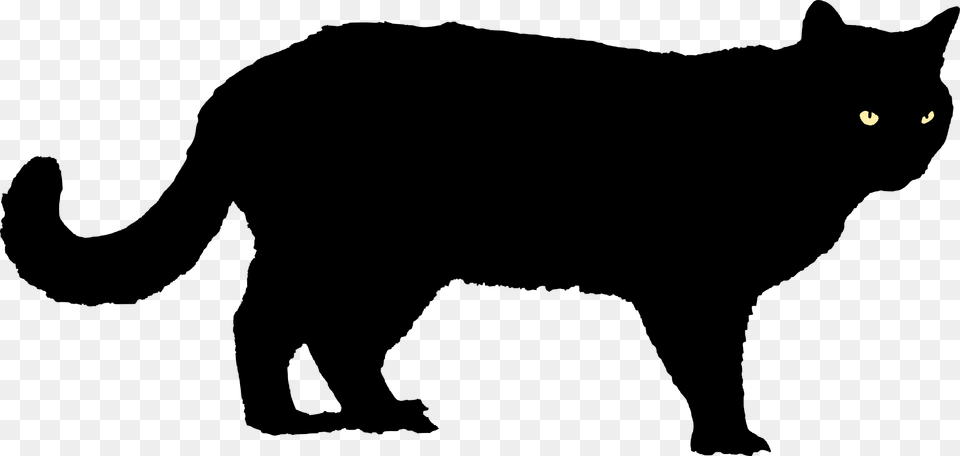 Transparent Buffalo Silhouette Pig Black, Nature, Night, Outdoors Png Image