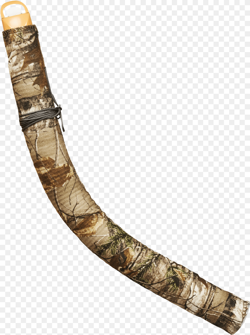 Transparent Bugle Ivory, Animal, Reptile, Snake Png