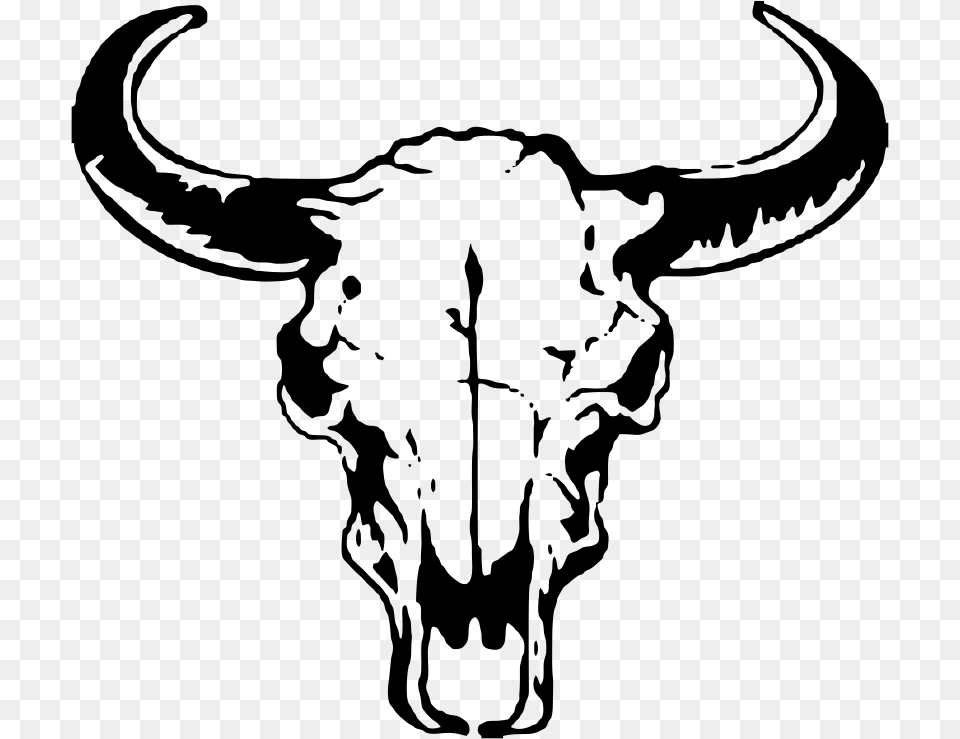 Transparent Bull Head, Animal, Mammal, Longhorn, Livestock Free Png Download