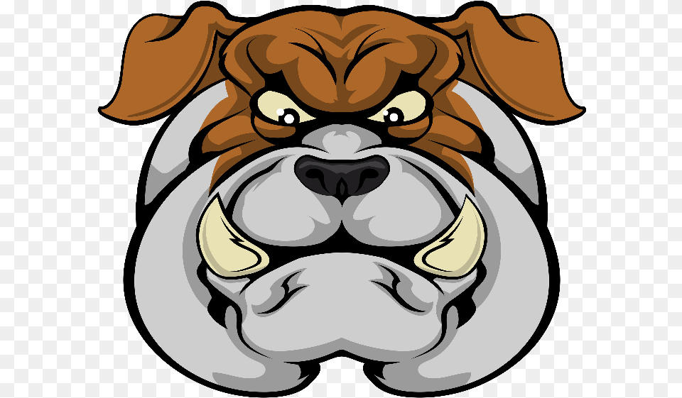 Transparent Bulldog Face Mean Looking Bulldogs Clipart, Animal, Canine, Dog, Mammal Png Image