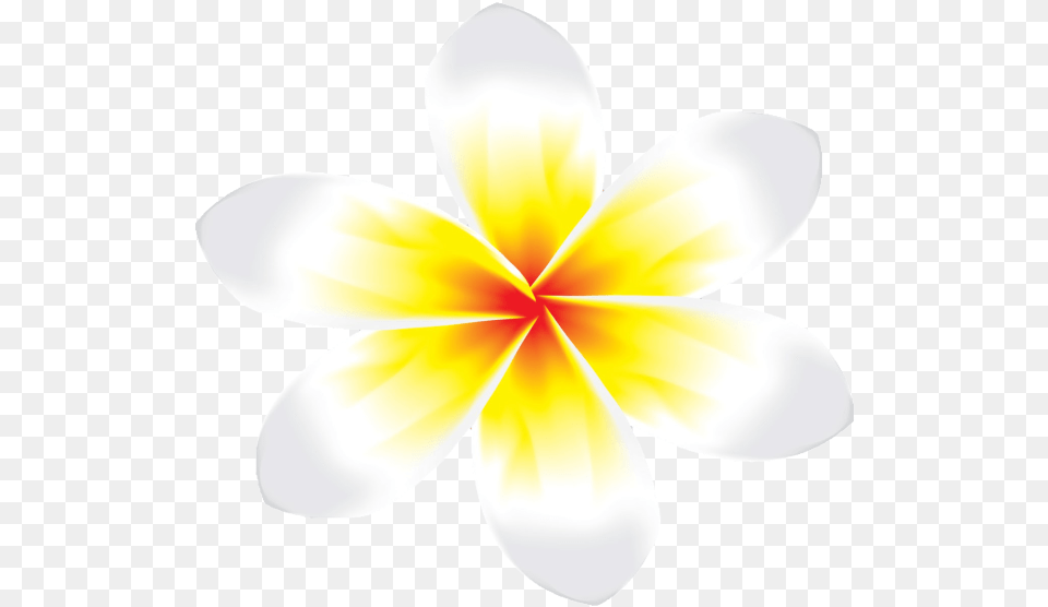 Bunga Kamboja Logo Bunga Jepun, Flower, Petal, Plant, Dahlia Free Transparent Png