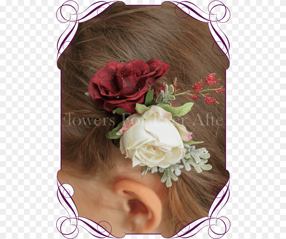 Transparent Burgundy Flower Garden Roses, Accessories, Plant, Flower Bouquet, Flower Arrangement Free Png