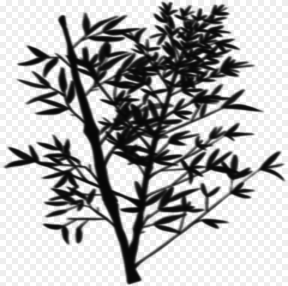 Transparent Bush Silhouette Twig, Gray Free Png